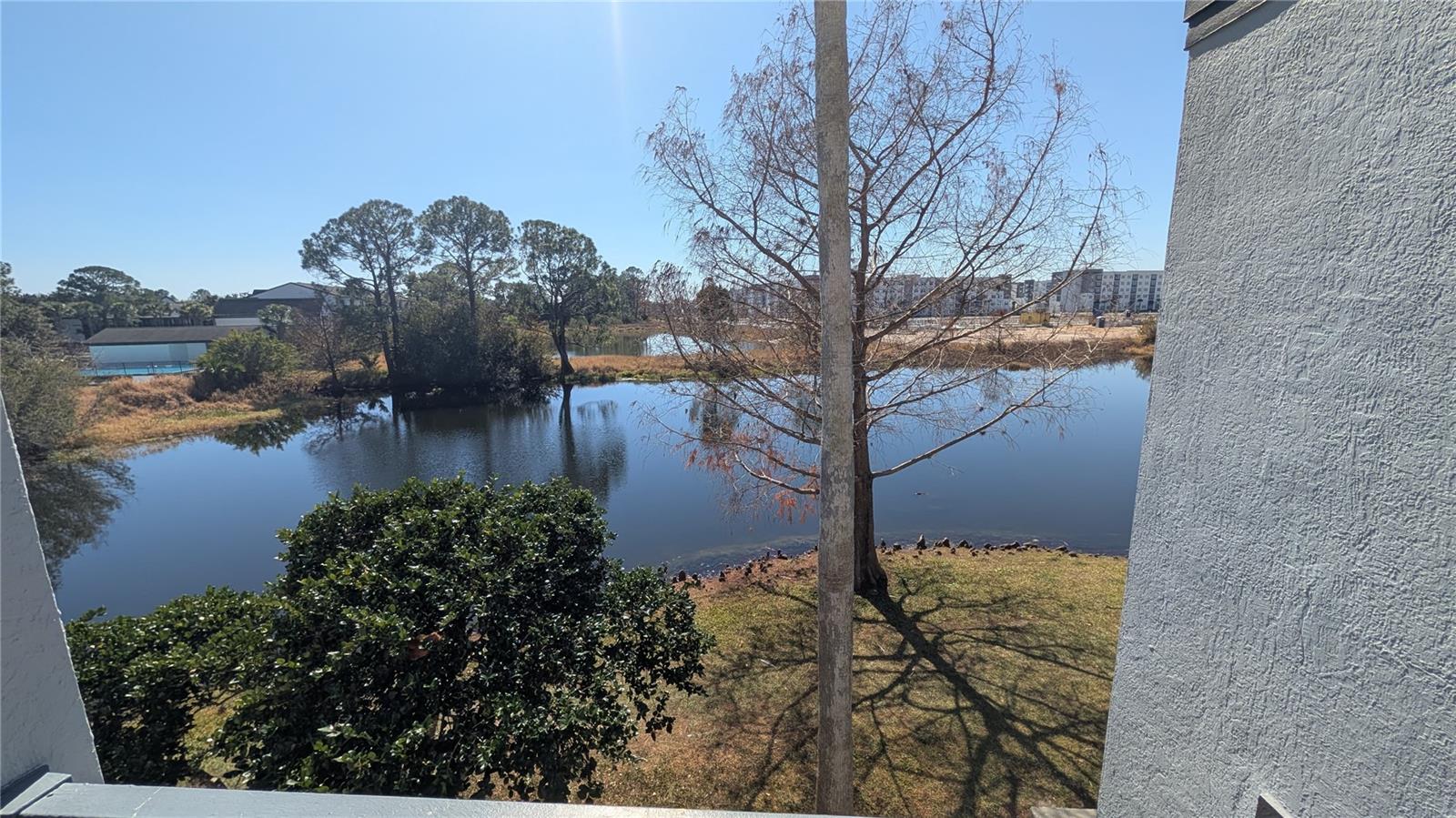 Image 2 of 10 For 3702 Palm Desert Lane 5423