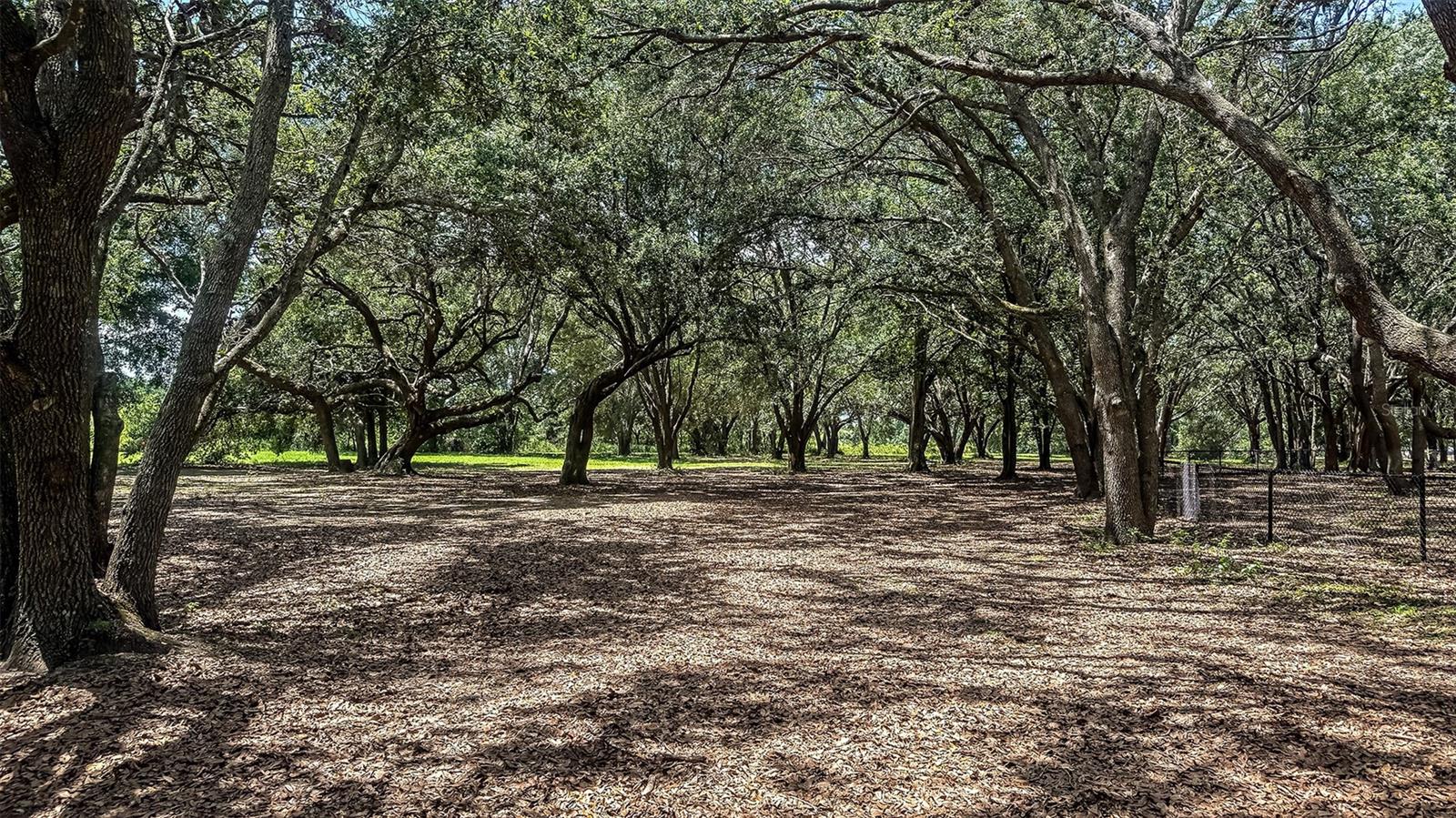 Image 34 of 36 For 7677 Gemstone Street