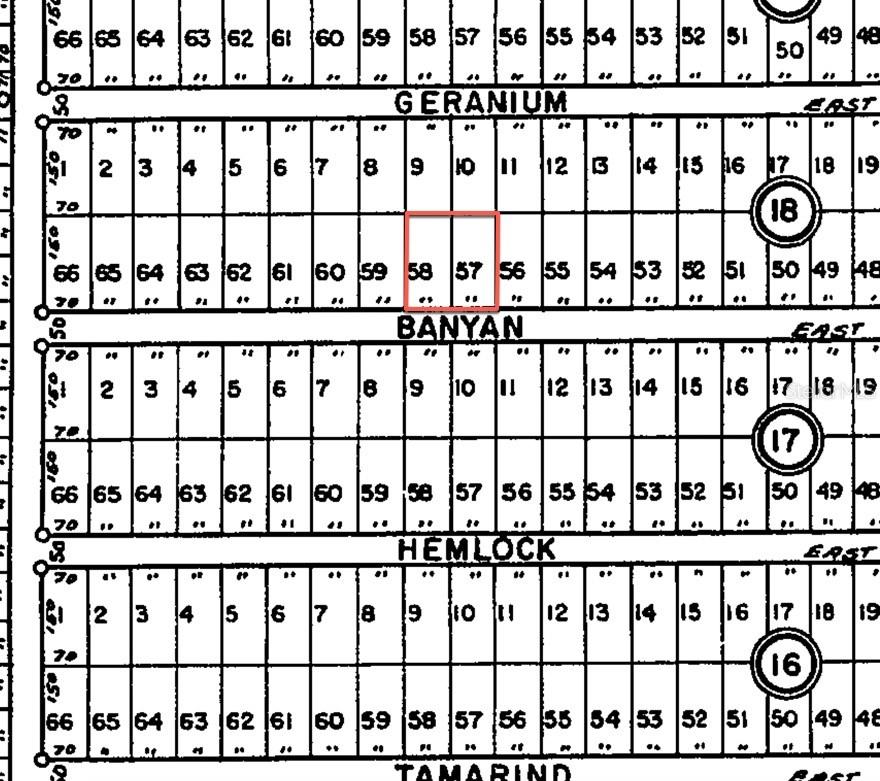 Image 10 of 11 For 24309 Banyan Lane