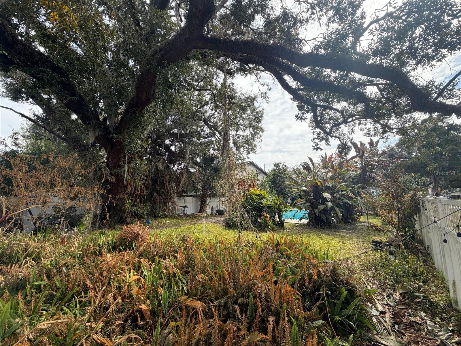 Image 19 of 22 For 29 Princeton Street