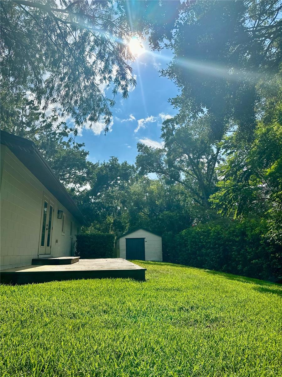 Image 22 of 31 For 213 Tilden Street