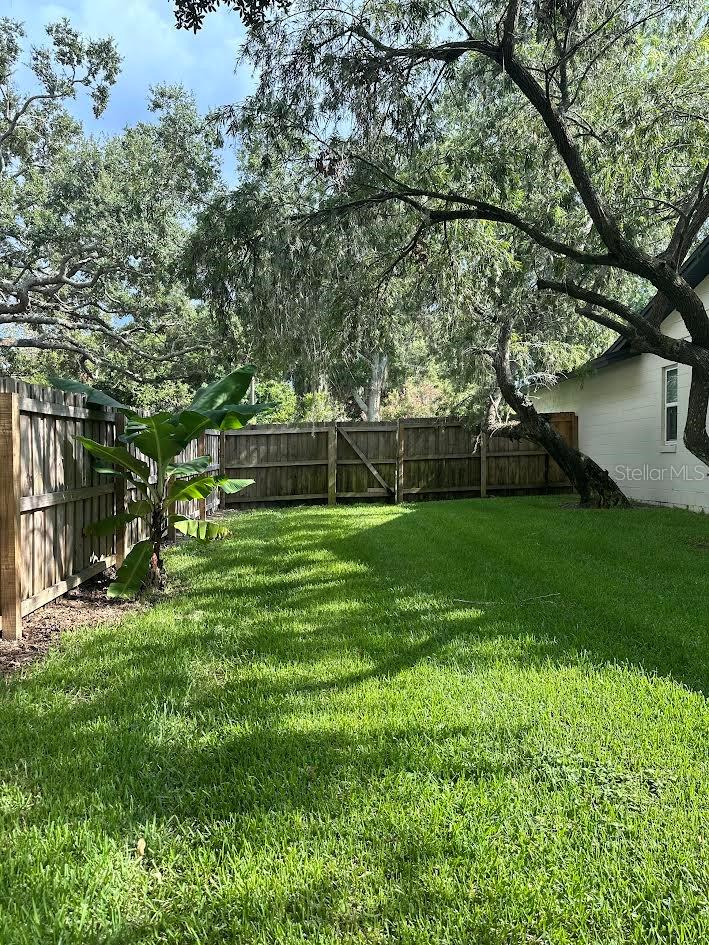 Image 23 of 31 For 213 Tilden Street