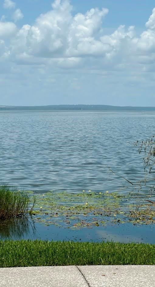 Image 31 of 31 For 213 Tilden Street