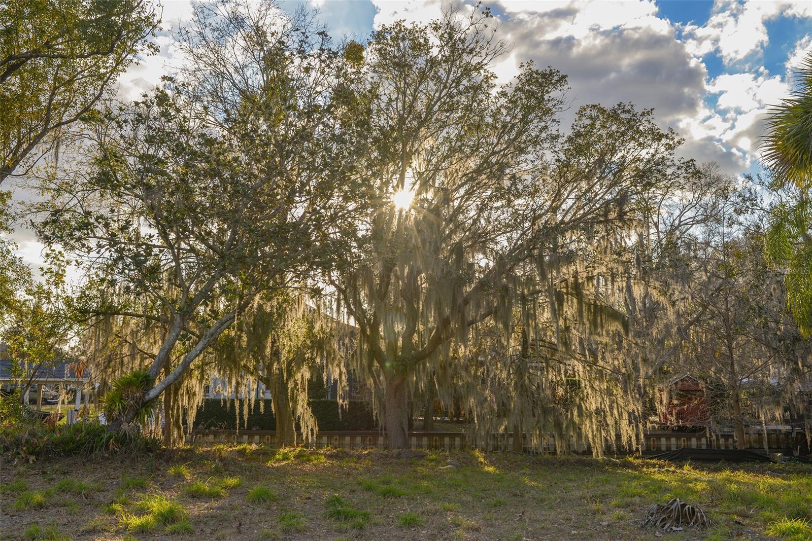 Image 20 of 43 For 11010 Schooner Way