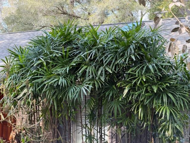 Image 20 of 84 For 110 Stone Post Road