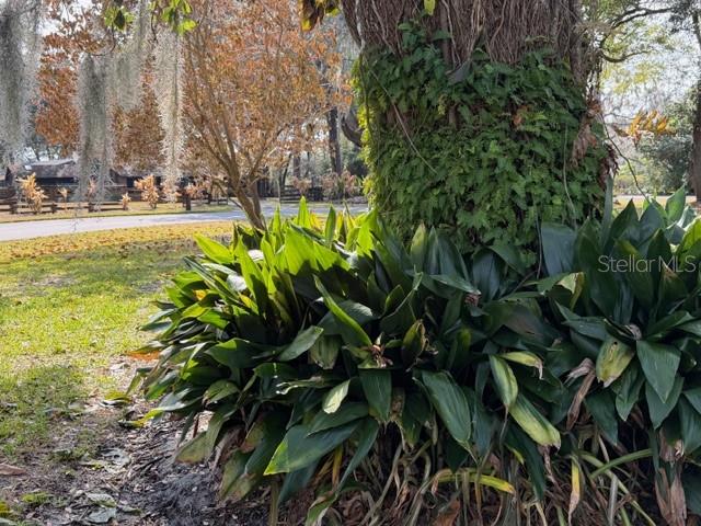 Image 26 of 84 For 110 Stone Post Road