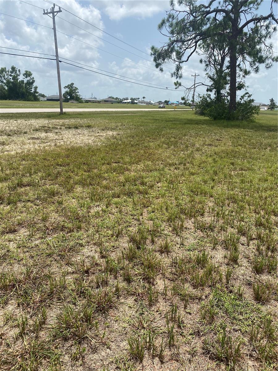 Image 3 of 3 For 543 Diplomat Parkway W