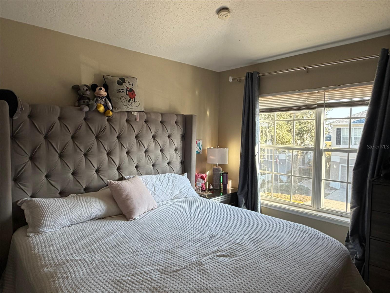 Image 11 of 23 For 6488 Golden Rod  43a