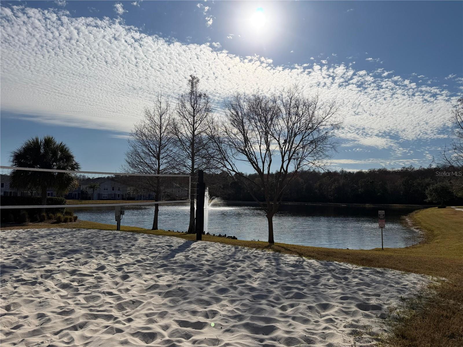 Image 20 of 23 For 6488 Golden Rod  43a