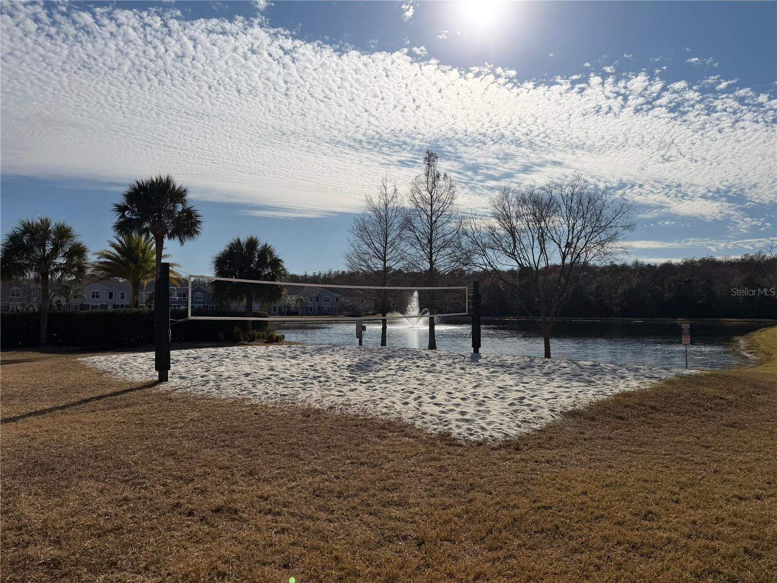 Image 22 of 23 For 6488 Golden Rod  43a