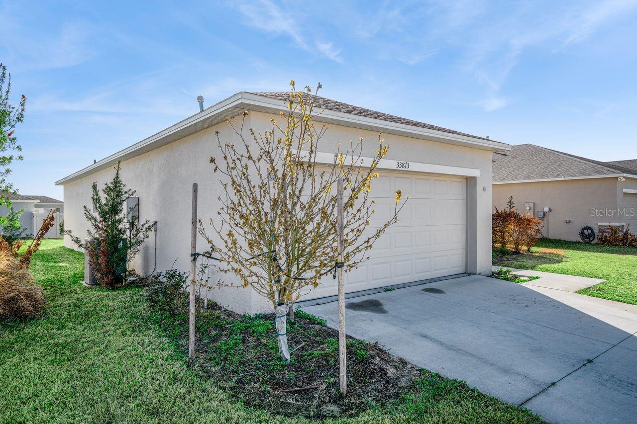 Image 23 of 24 For 33813 Sky Blossom Circle