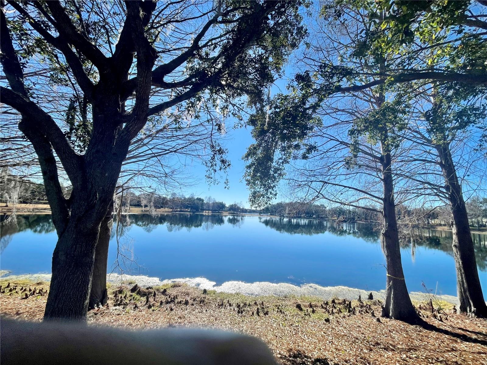 Image 19 of 20 For 5019 Blue Major Drive