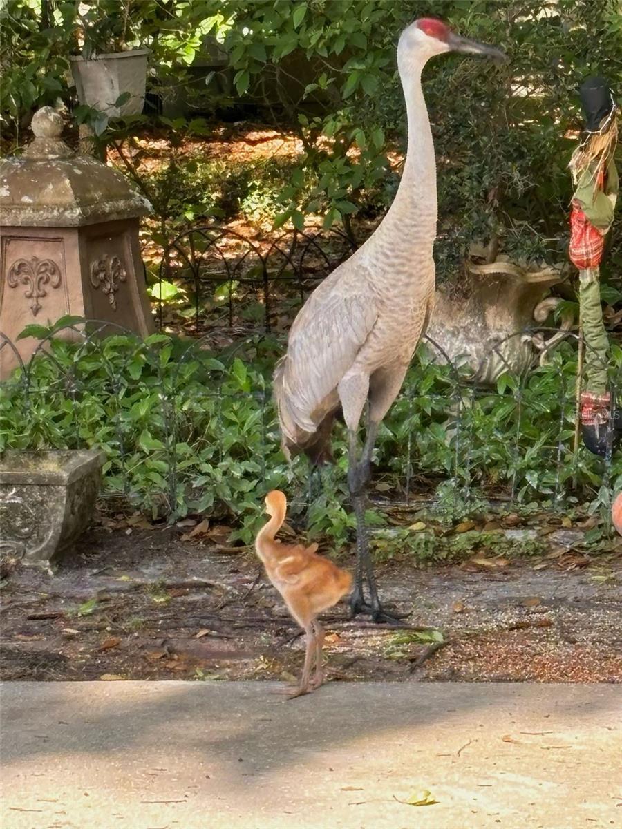 Image 73 of 81 For 7718 Flemingwood Court