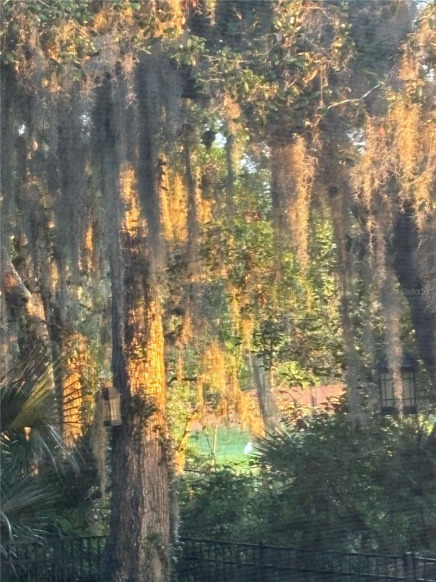 Image 78 of 81 For 7718 Flemingwood Court