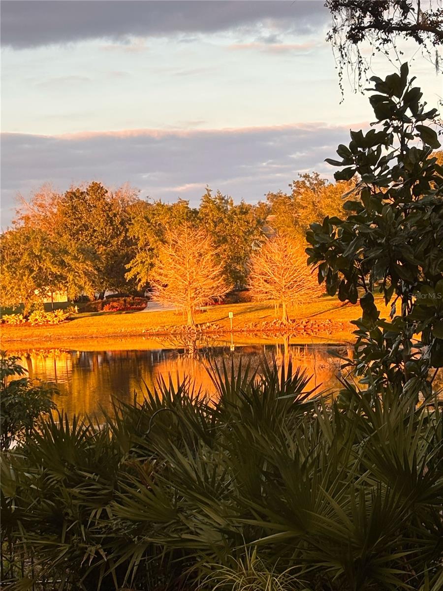 Image 81 of 81 For 7718 Flemingwood Court