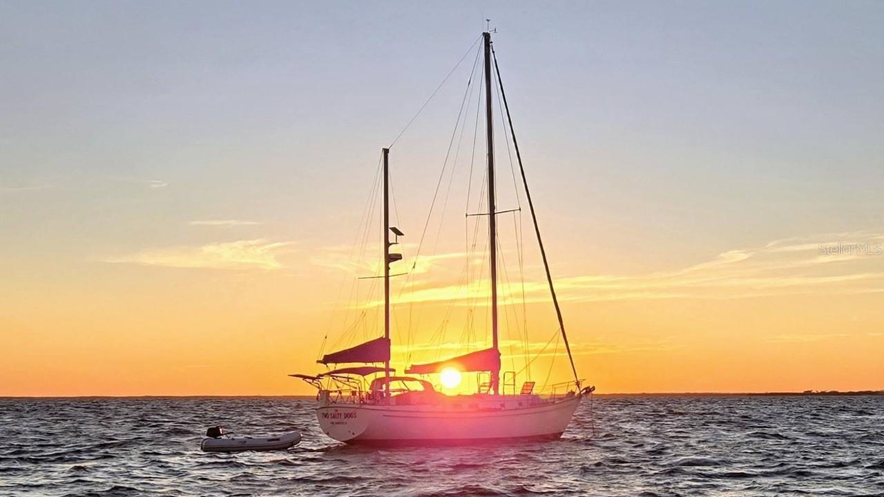 Image 33 of 85 For 900 Marion Avenue 1201