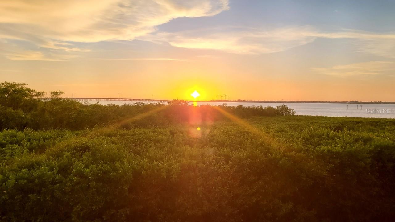 Image 35 of 85 For 900 Marion Avenue 1201