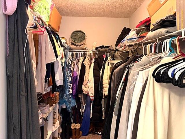 Image 25 of 38 For 979 Red Dandy Drive