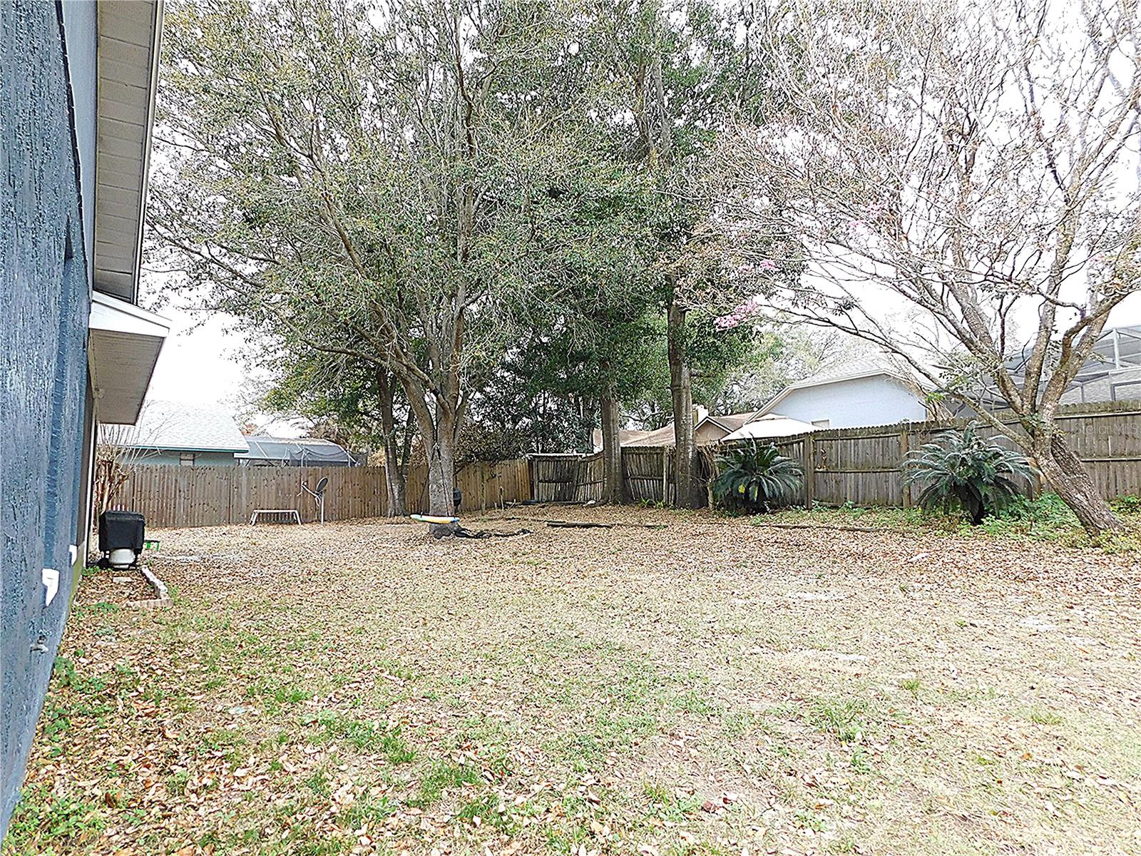 Image 36 of 38 For 979 Red Dandy Drive