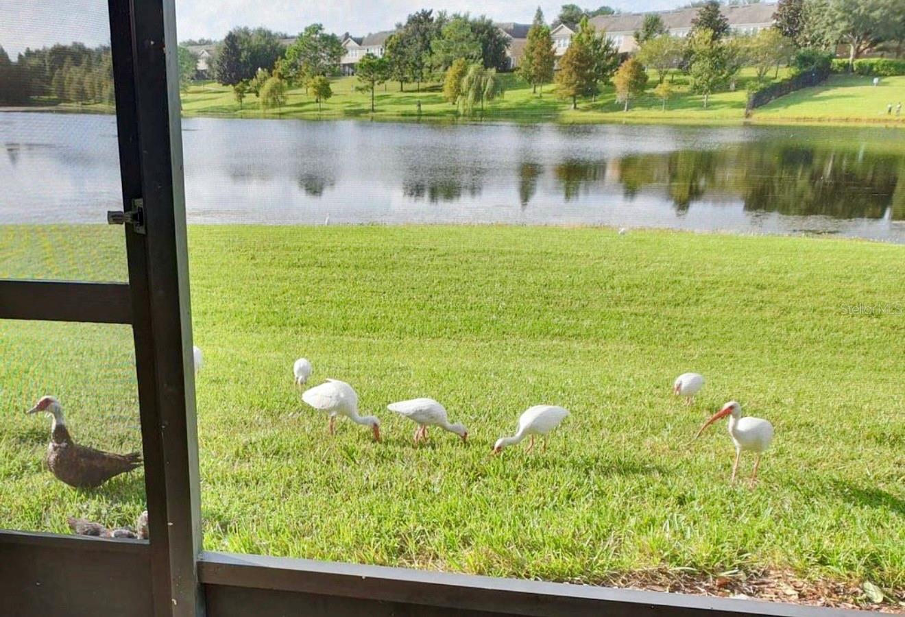 Image 17 of 25 For 6081 Twain Street 108