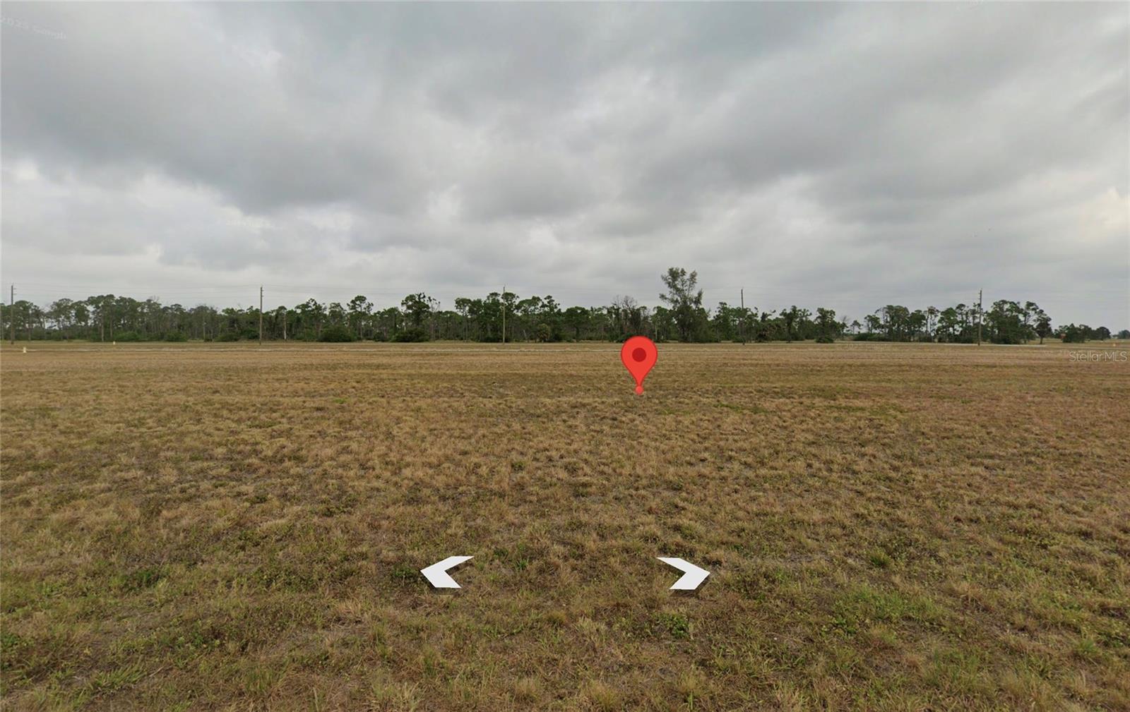 Listing Details for 13496 Torpedo-ray Place, PLACIDA, FL 33946