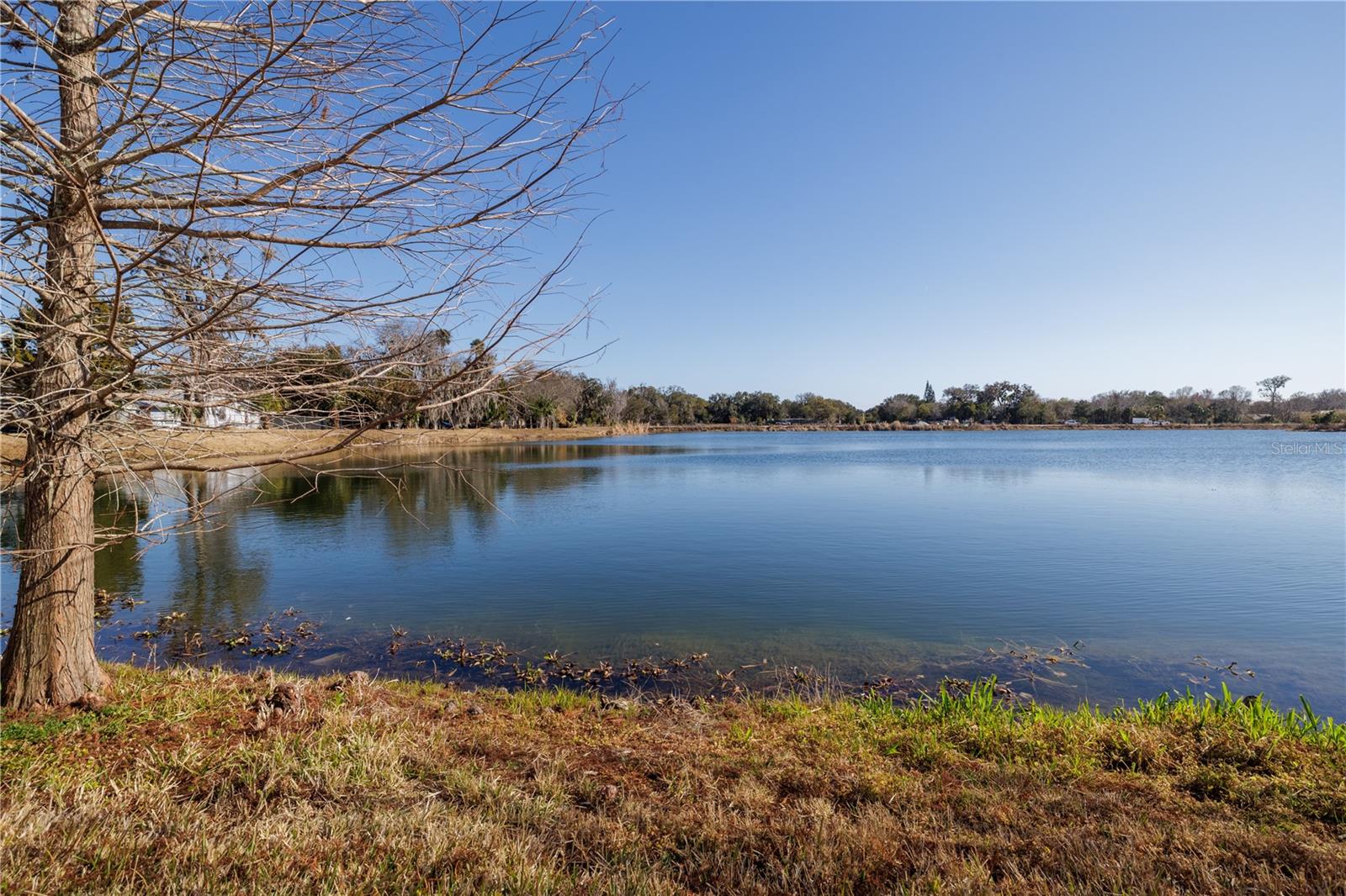 Image 22 of 27 For 1005 Alabama Avenue