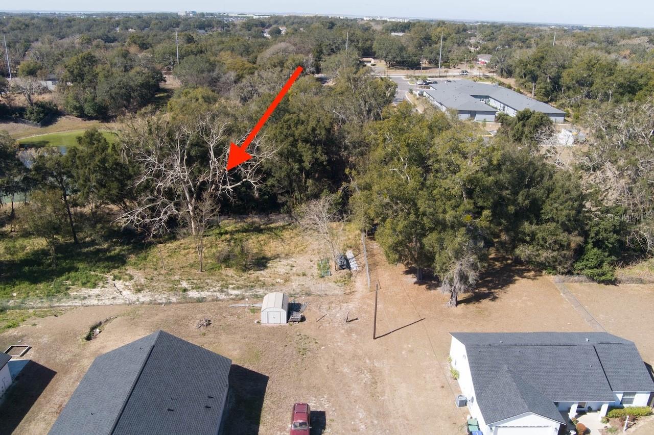 Image 11 of 23 For 152 Saunders Street