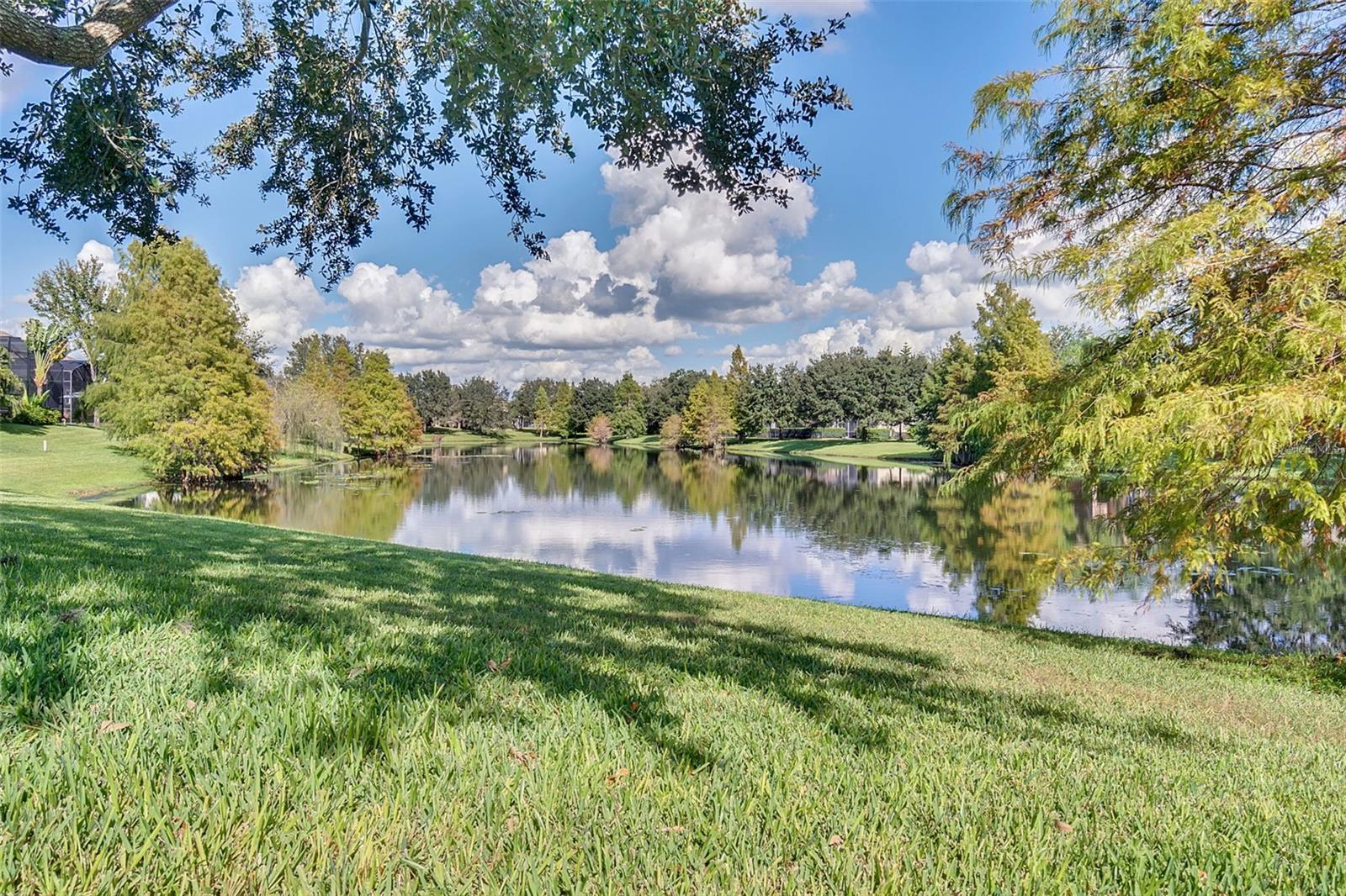 Image 38 of 41 For 13237 Fossick Road