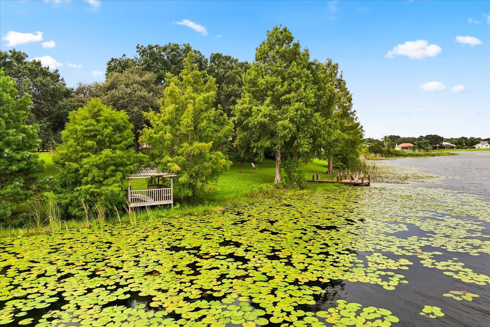 Image 42 of 58 For 13123 Luntz Point Lane