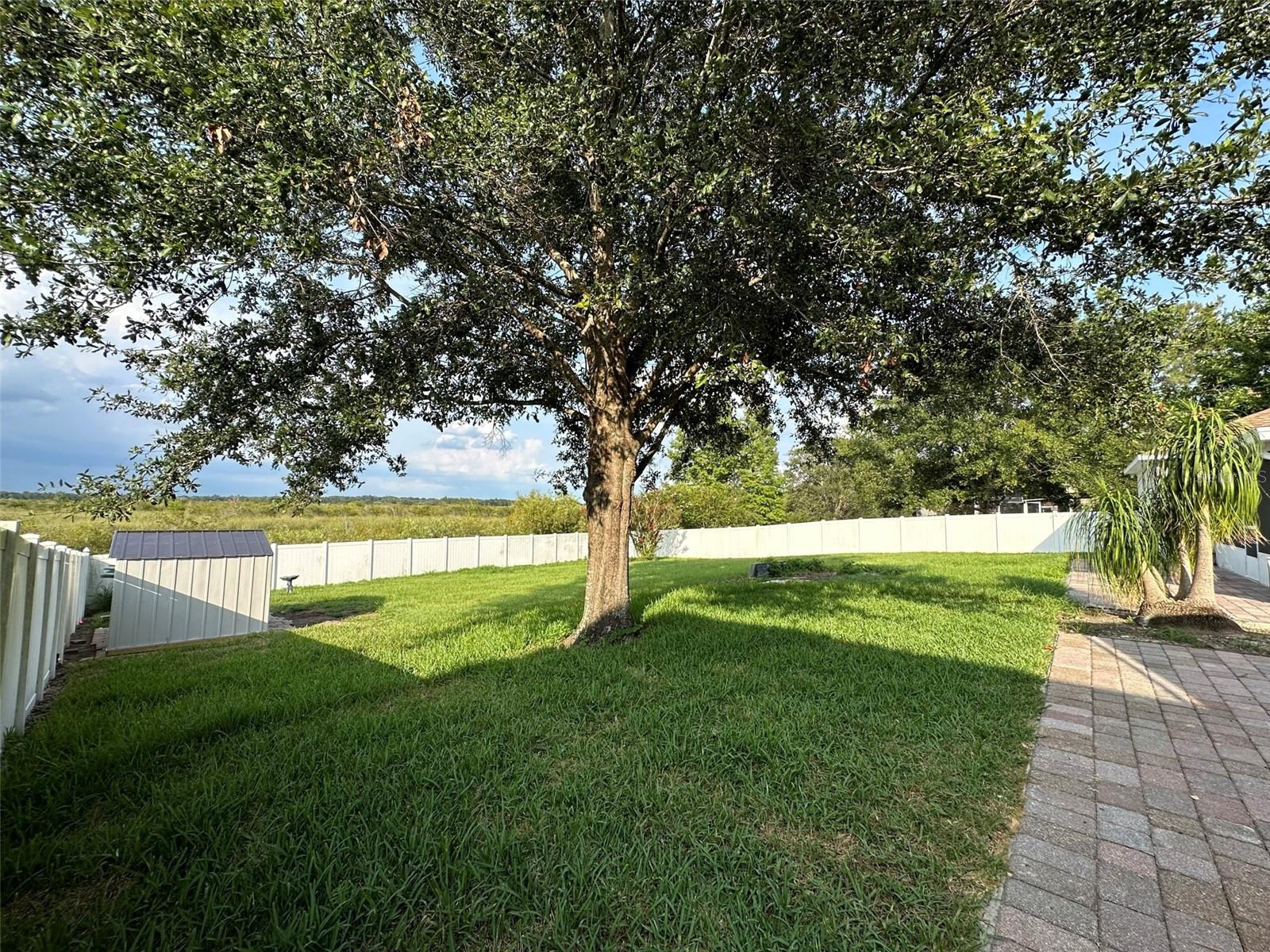 Image 28 of 30 For 9830 Water Fern Circle