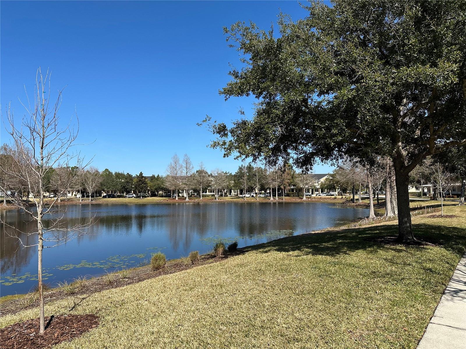 Image 64 of 81 For 9189 Camden Gardens Street