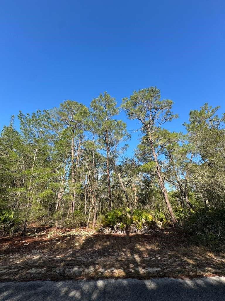 Details for Address Not Provided