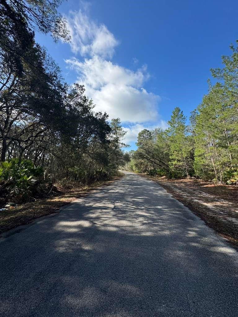 Image 2 of 4 For Address Not Provided