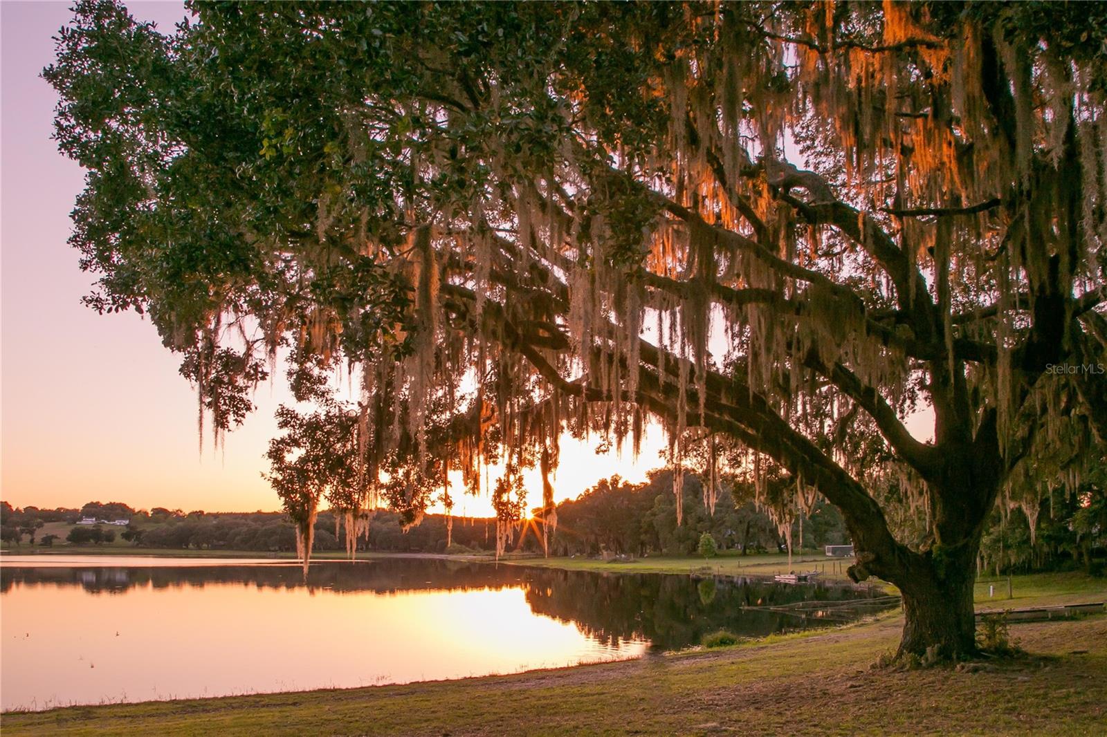 Image 18 of 18 For 34710 Clayton Road