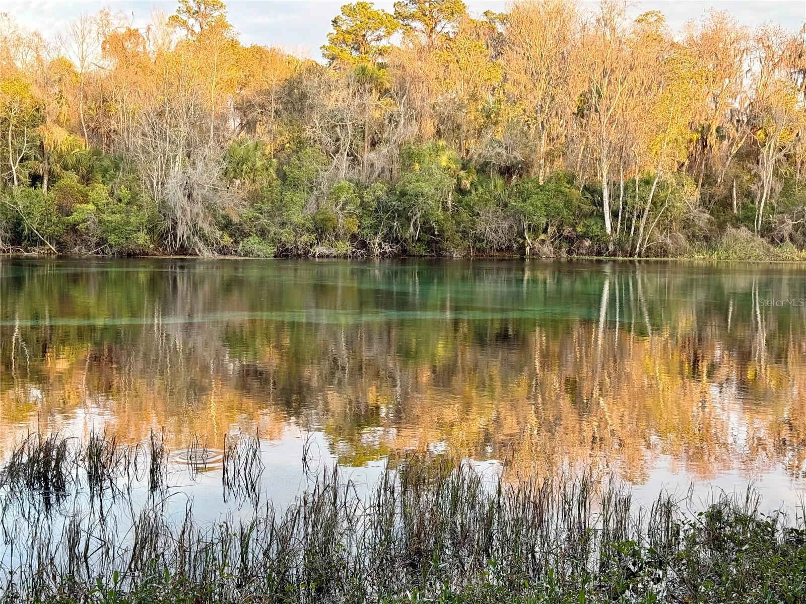 Image 8 of 14 For Sw 205th Circle