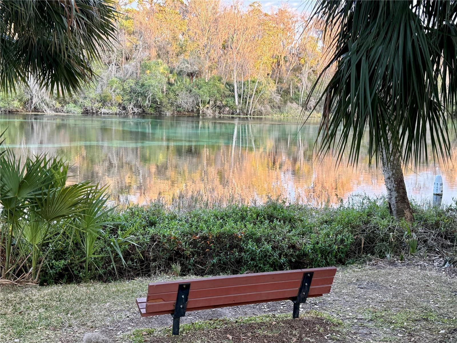 Image 9 of 14 For Sw 205th Circle