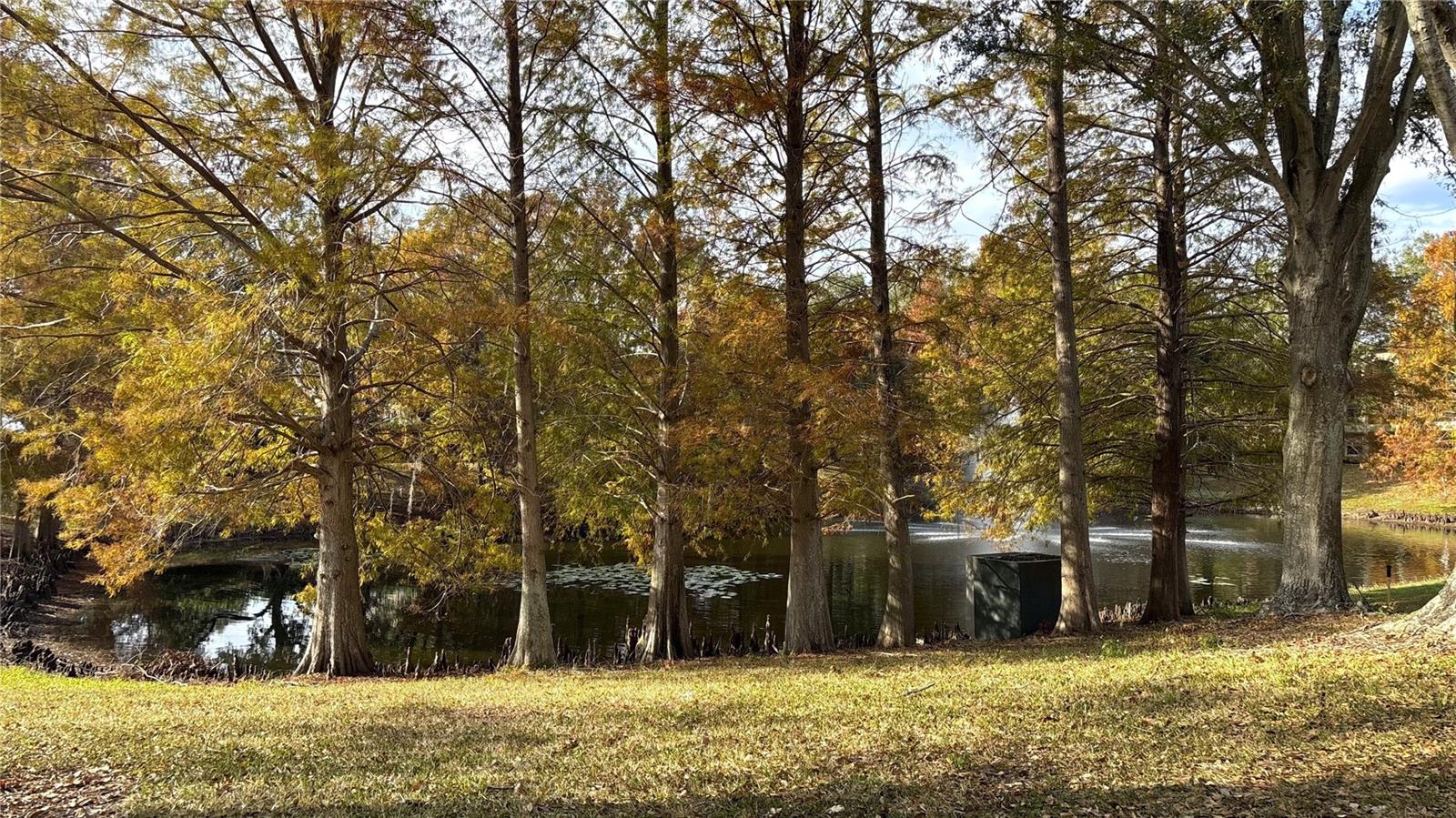 Image 3 of 14 For 8849 Latrec Avenue 4103