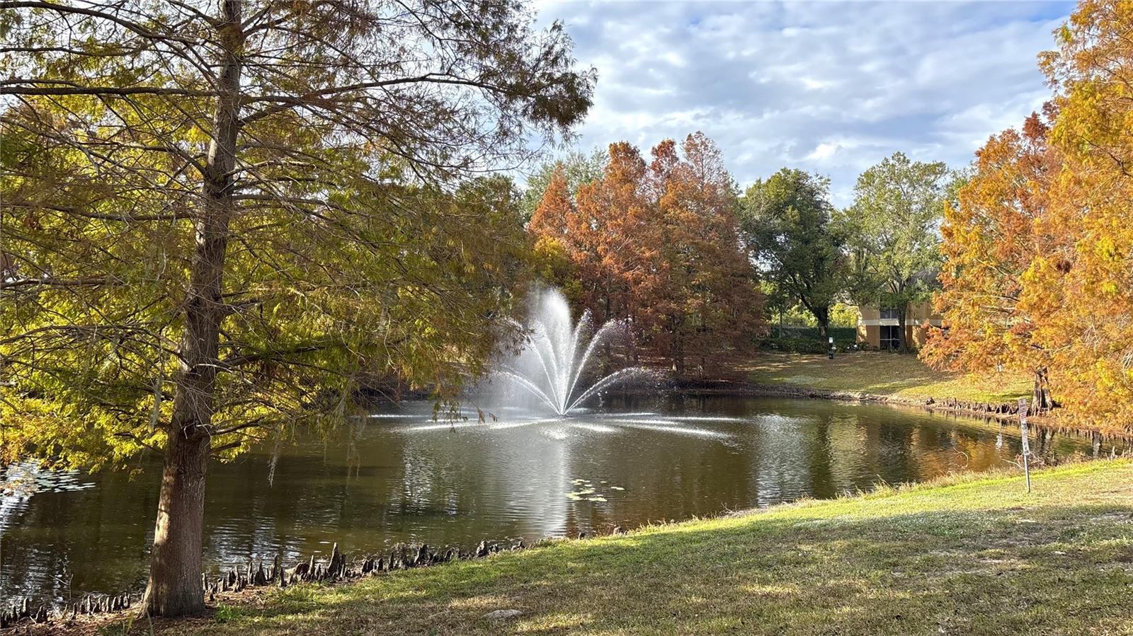 Image 4 of 14 For 8849 Latrec Avenue 4103