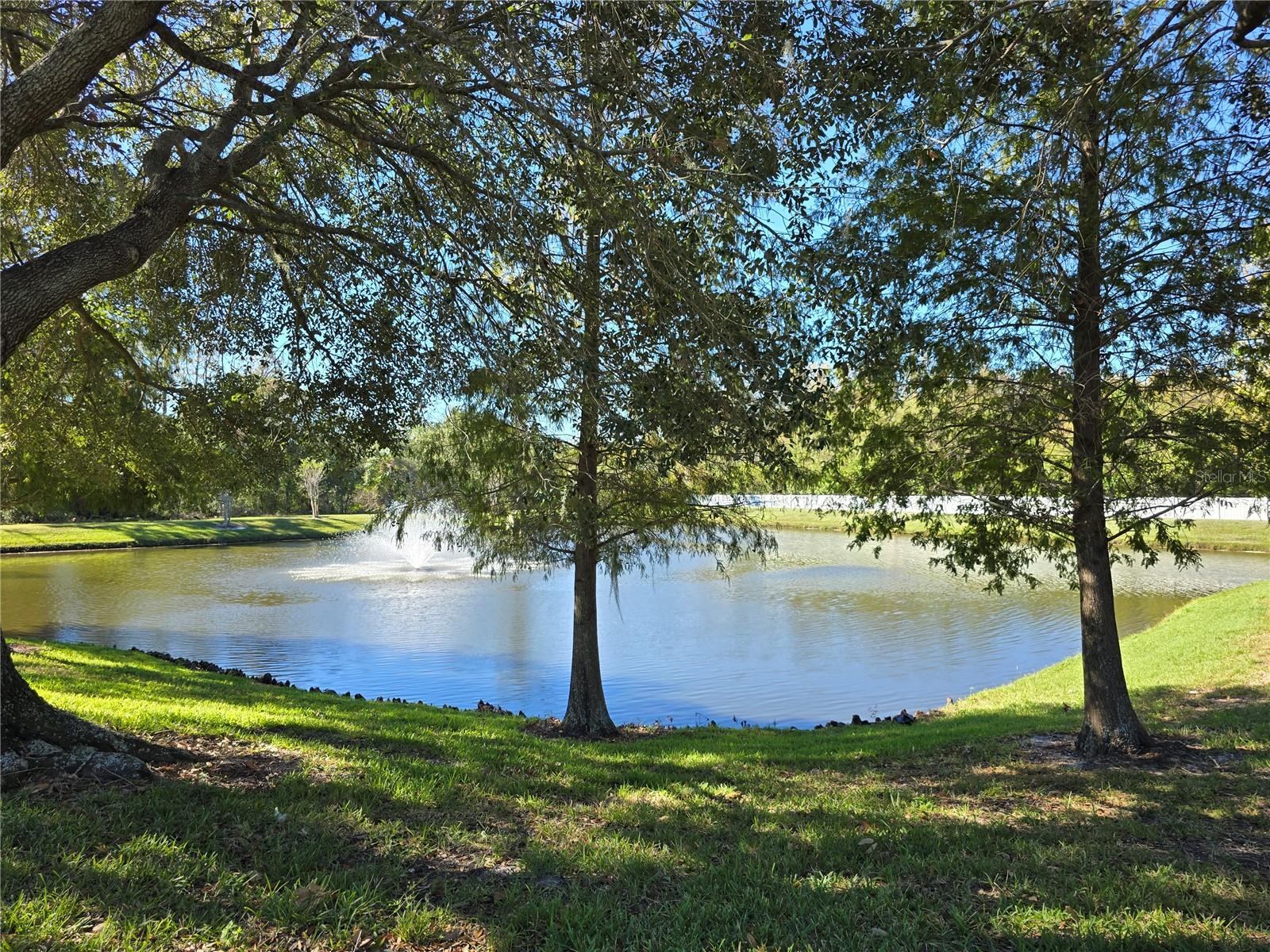 Image 45 of 51 For 10114 Westpark Preserve Boulevard