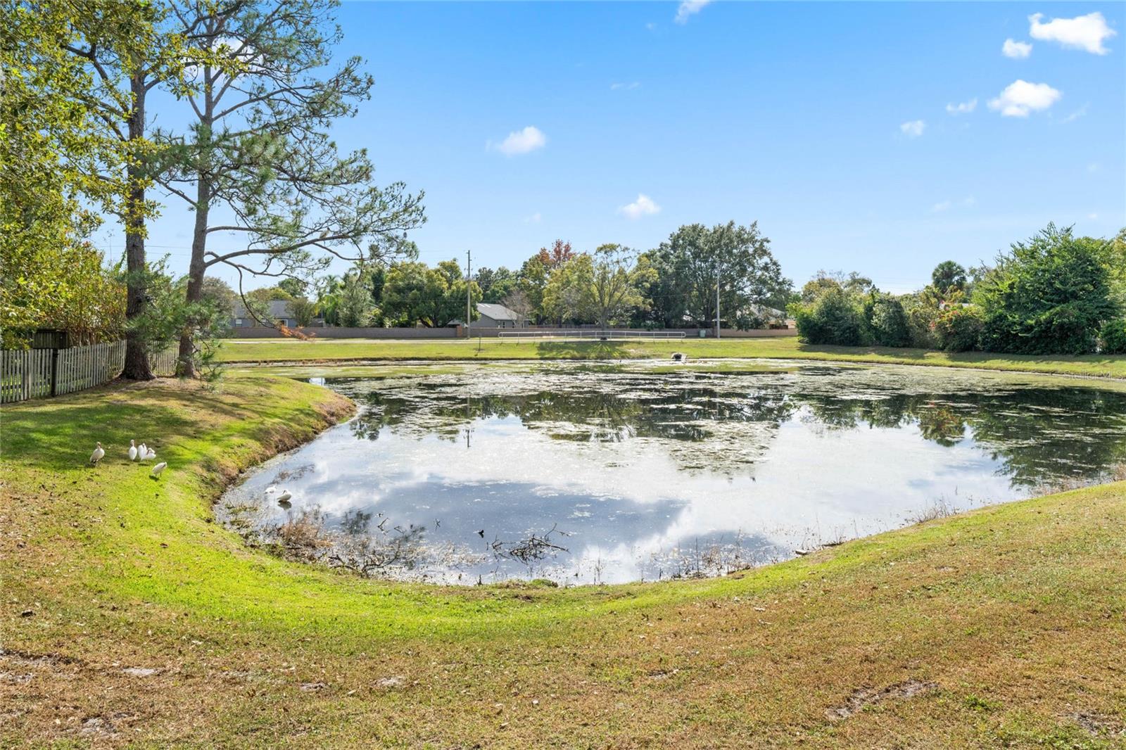 Image 20 of 20 For 385 Crossbeam Drive