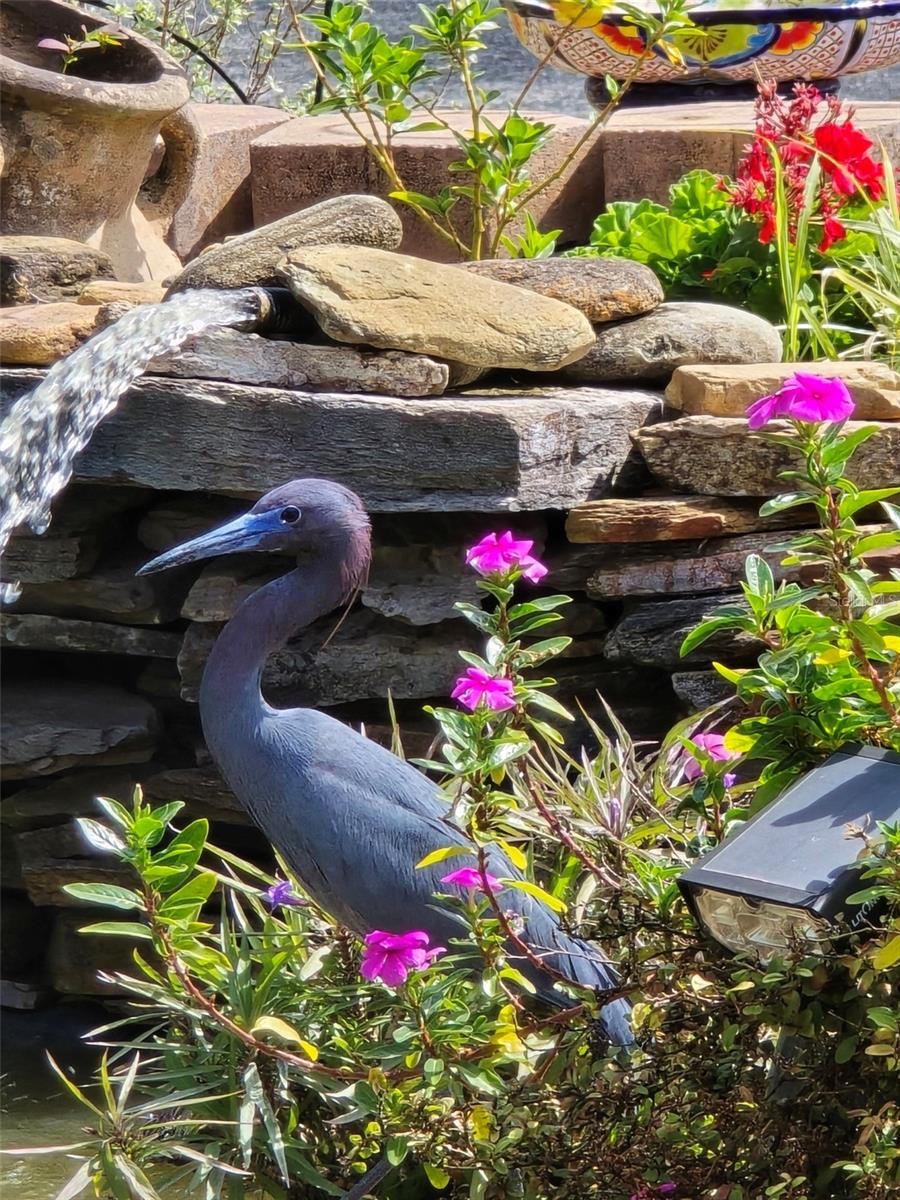 Image 2 of 27 For 8718 Fort Shea Avenue