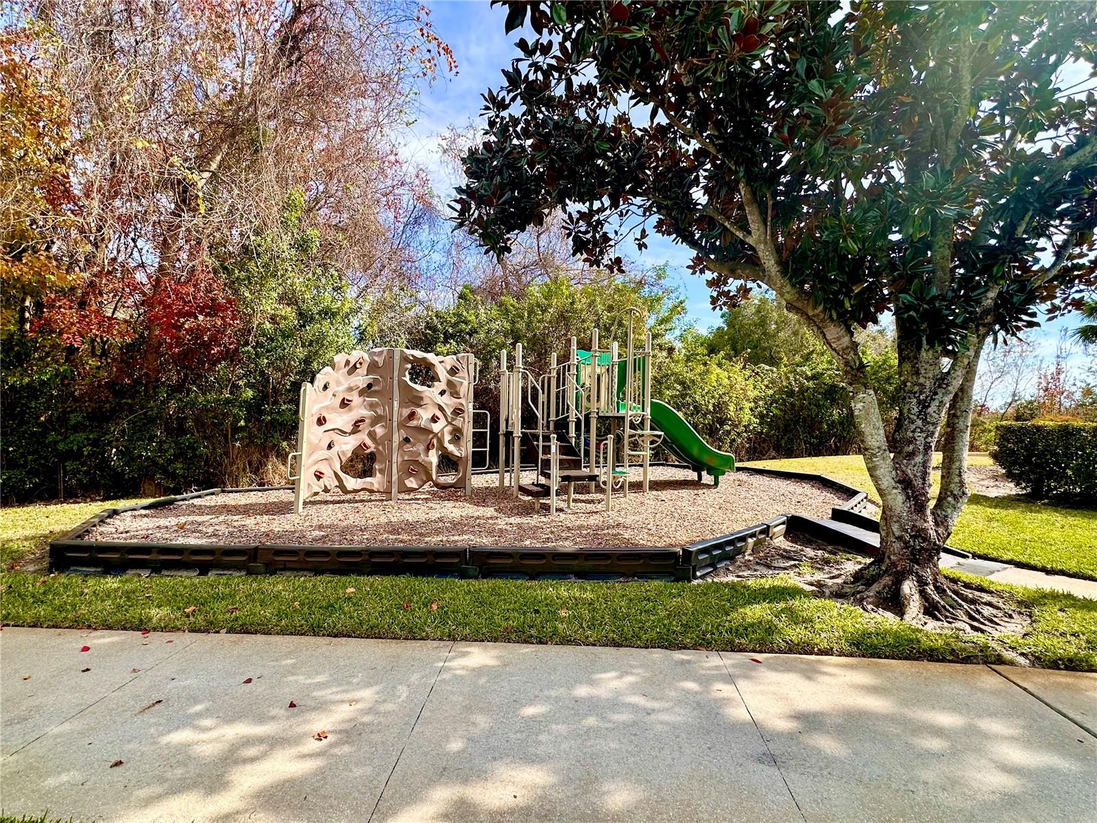 Image 36 of 36 For 3642 Mauna Kea Street