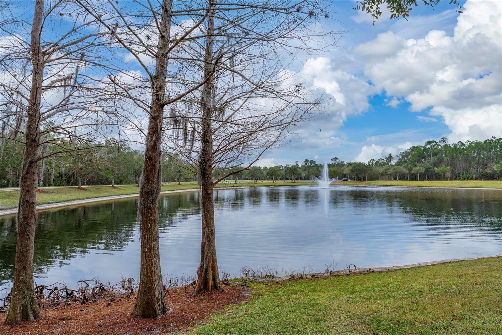 Image 2 of 26 For 105 Aston Grande Drive