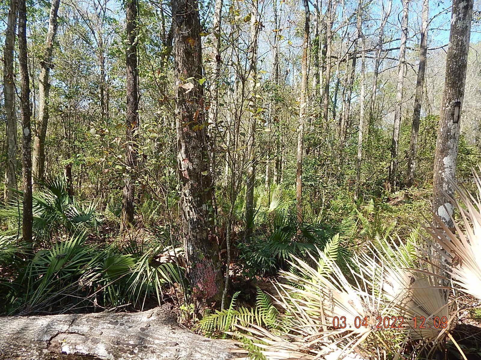 Image 10 of 13 For 1026 Buist Street