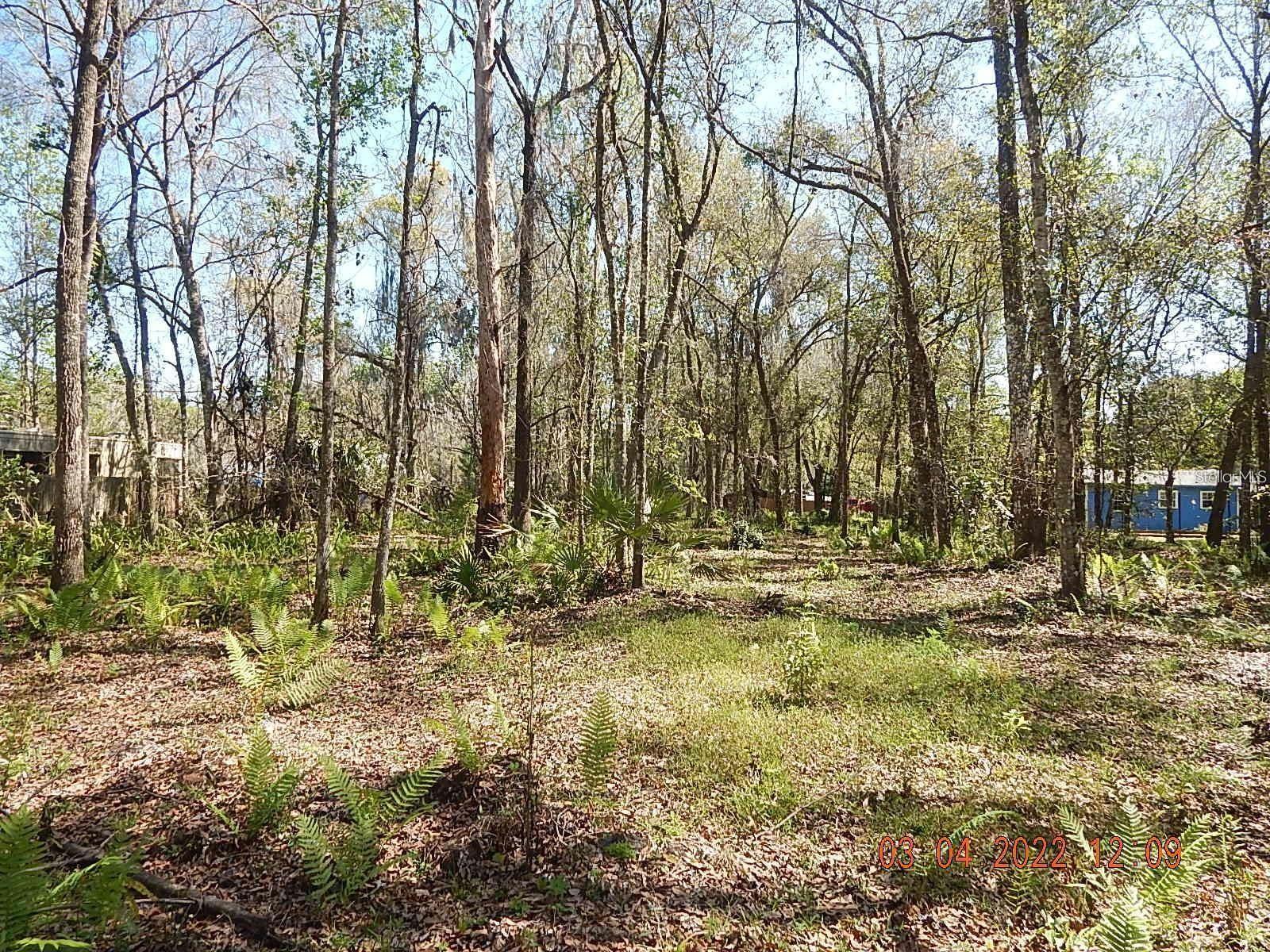 Image 11 of 13 For 1026 Buist Street