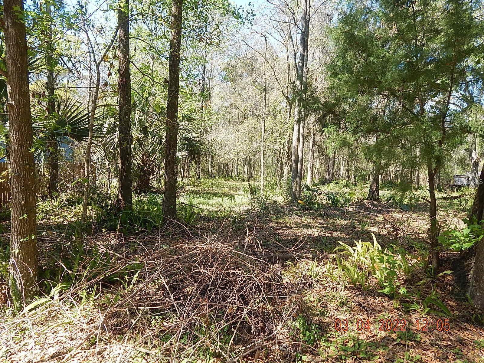 Image 3 of 13 For 1026 Buist Street