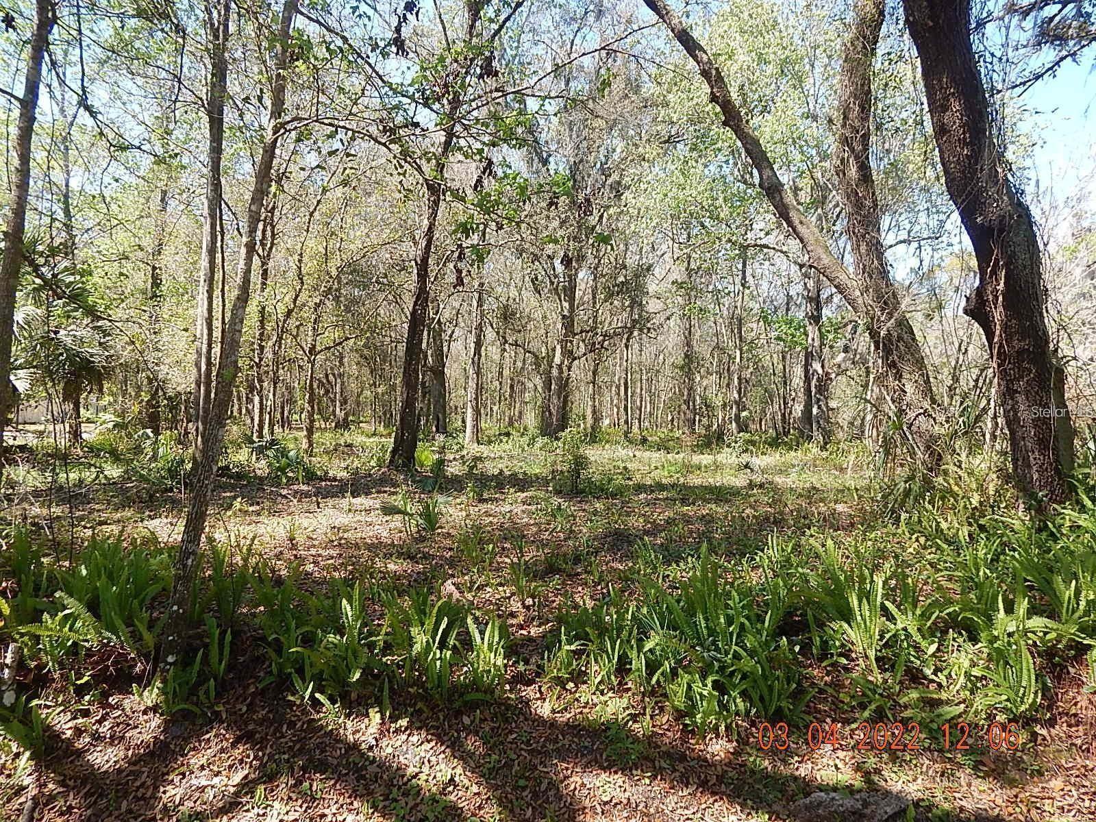 Image 4 of 13 For 1026 Buist Street