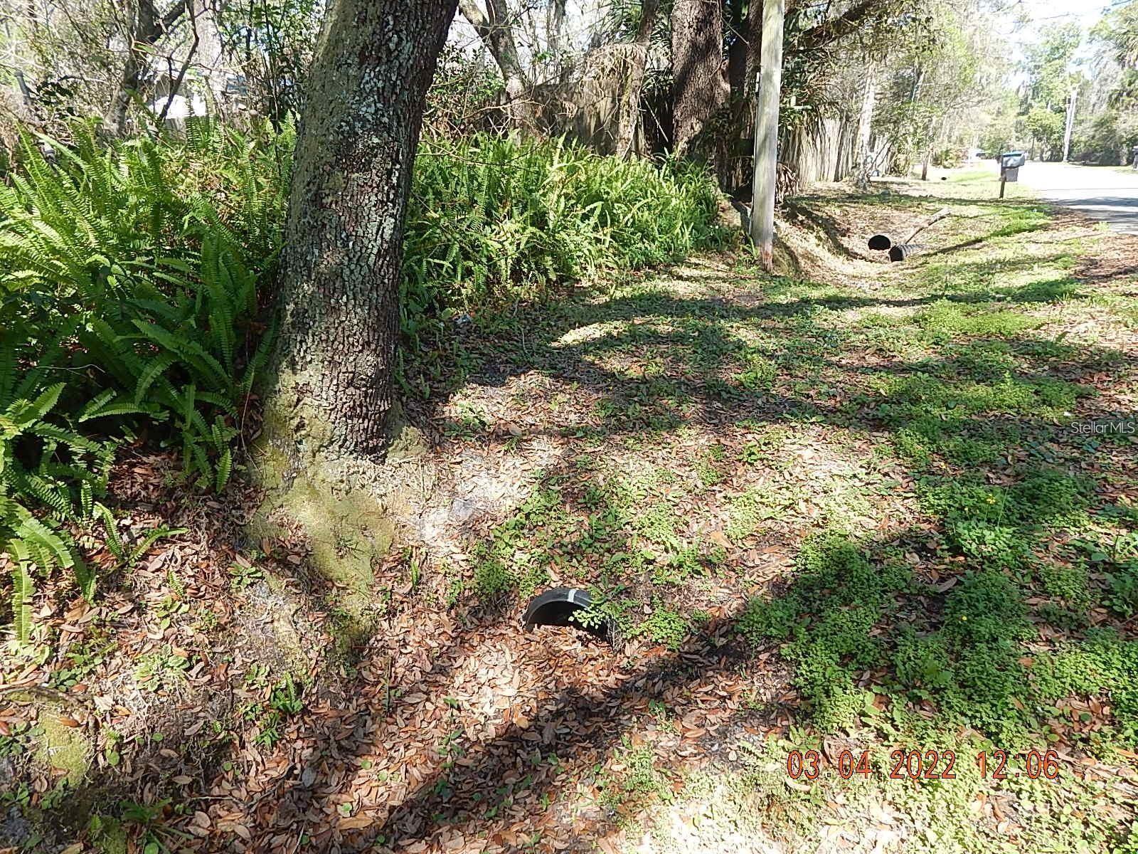 Image 5 of 13 For 1026 Buist Street