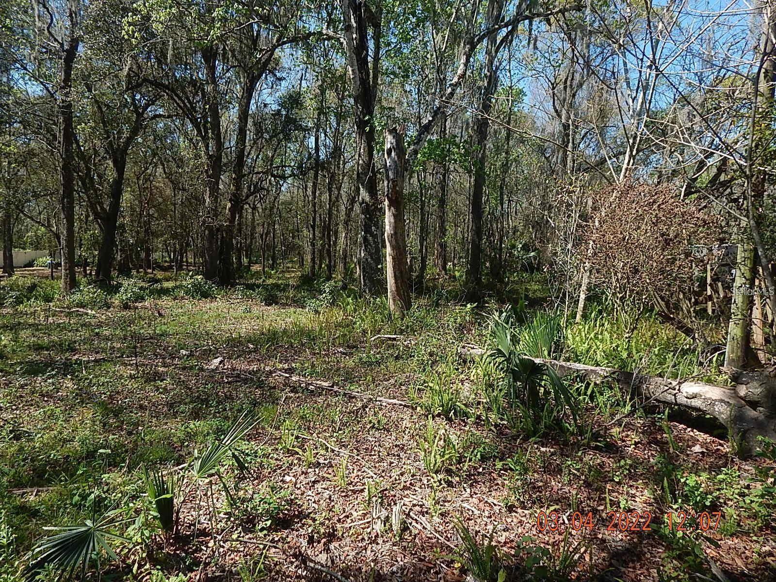 Image 7 of 13 For 1026 Buist Street