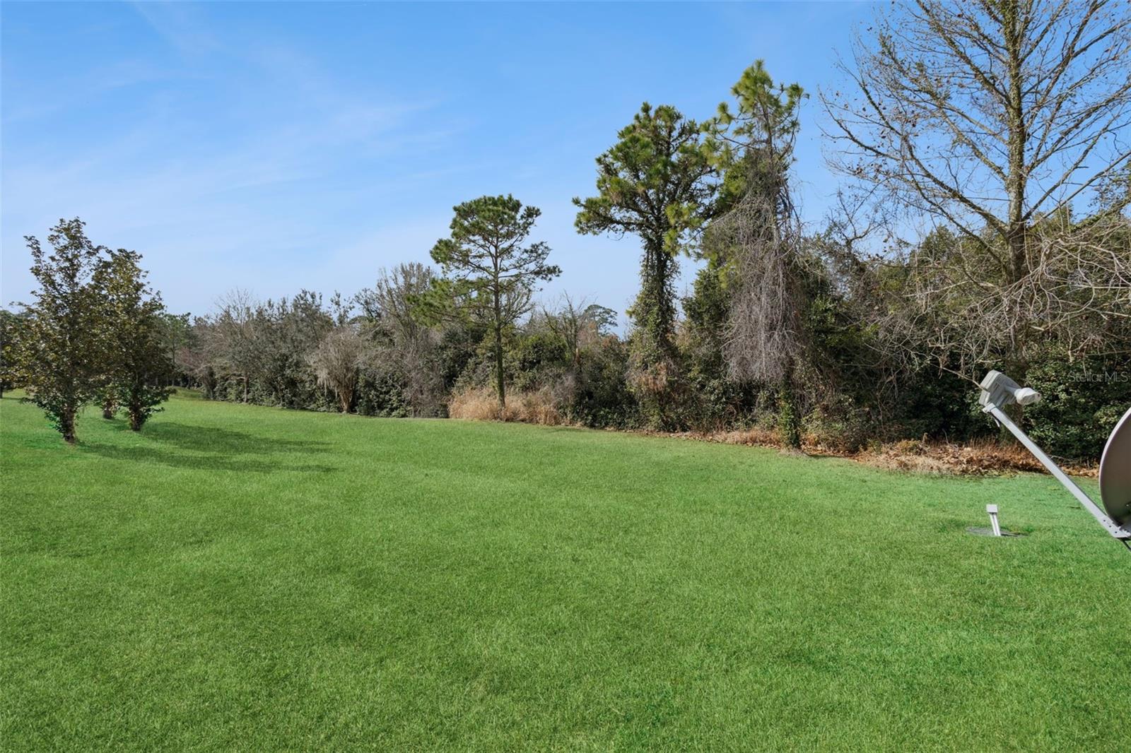 Image 25 of 29 For 601 Joyful Blossom Place